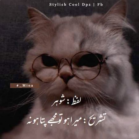 Jokes image