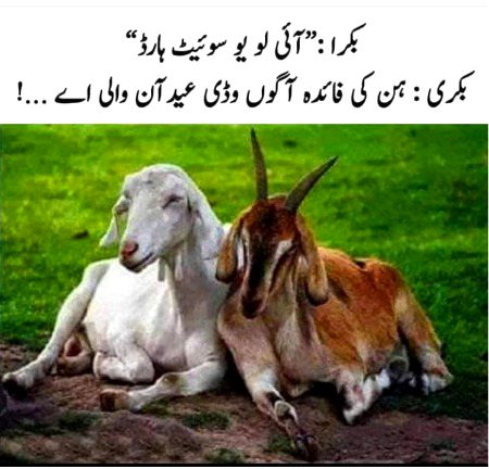 Jokes image