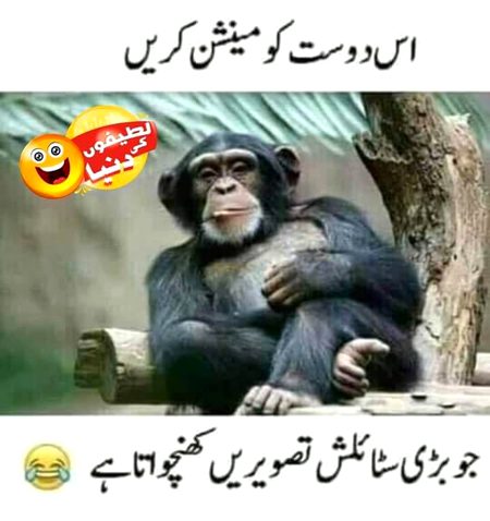 Funny joke