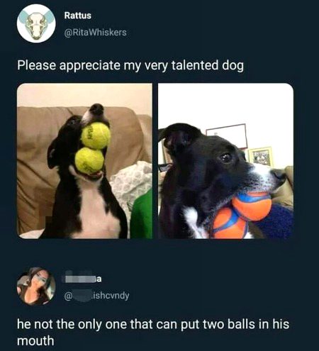 Funny joke
