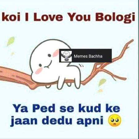 Memes & Satire image