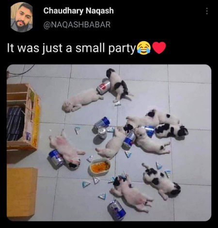 Memes & Satire image