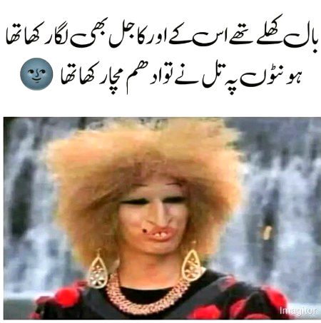 Memes & Satire image