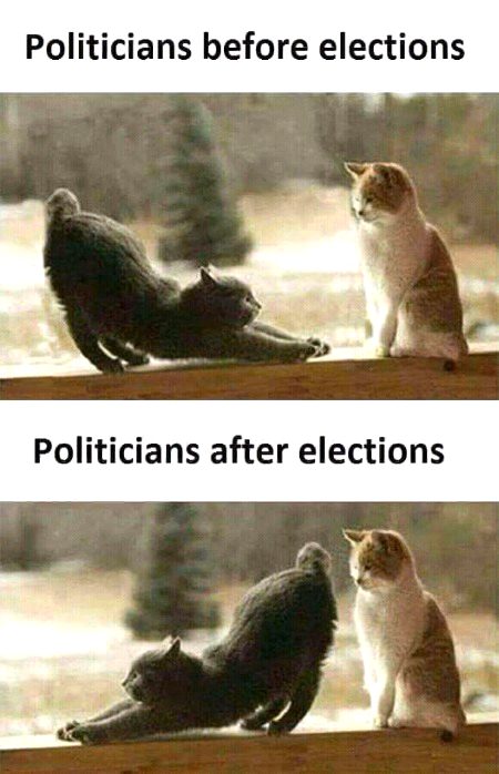 Memes & Satire image