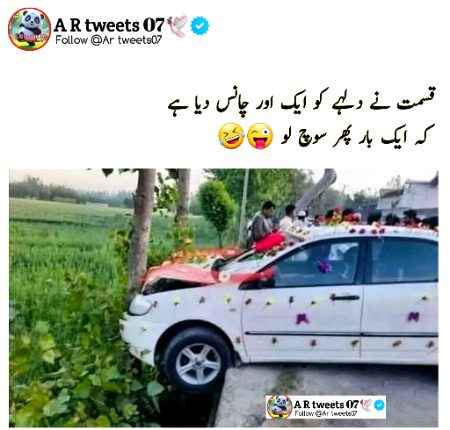 Memes & Satire image