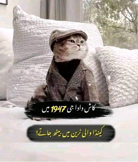 Jokes image