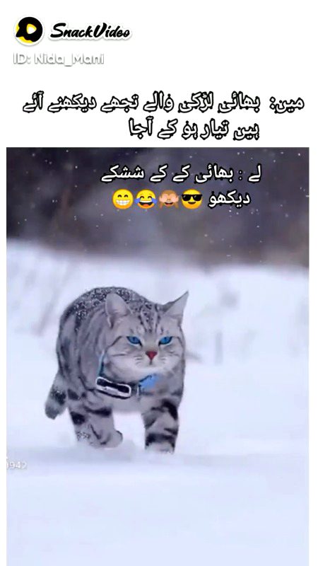 Memes & Satire image
