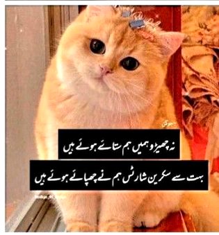 Jokes image
