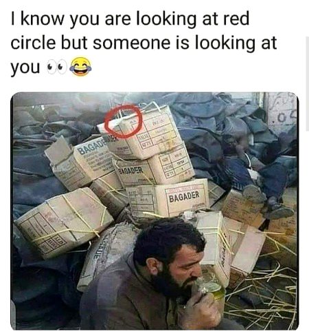 Memes & Satire image