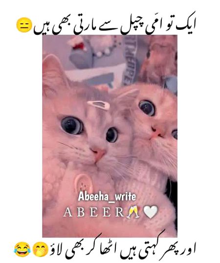 Memes & Satire image