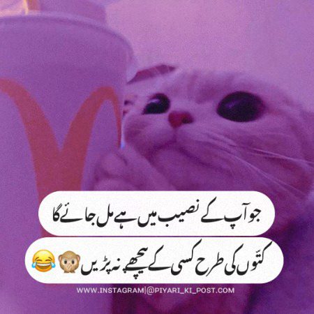 Jokes image