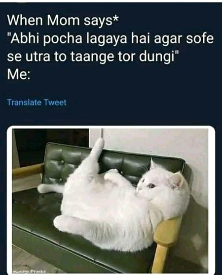 Memes & Satire image