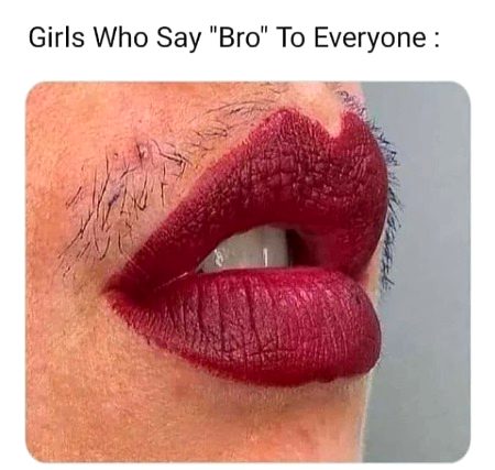 Memes & Satire image