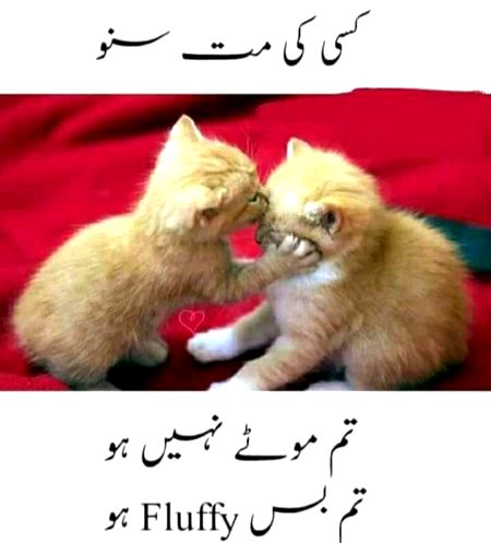 Memes & Satire image