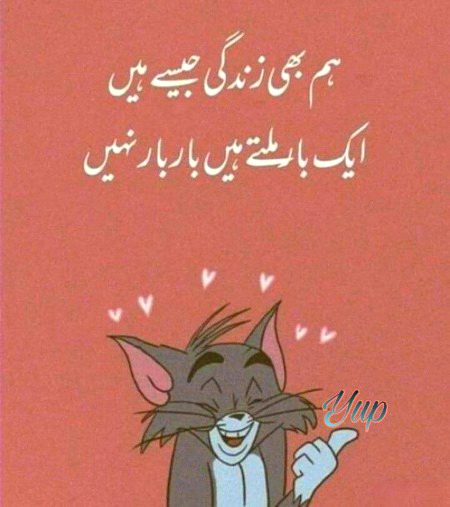 Attitude Quotes image