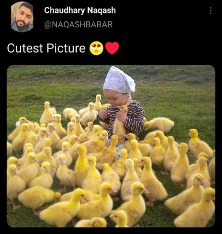 Beautiful People image