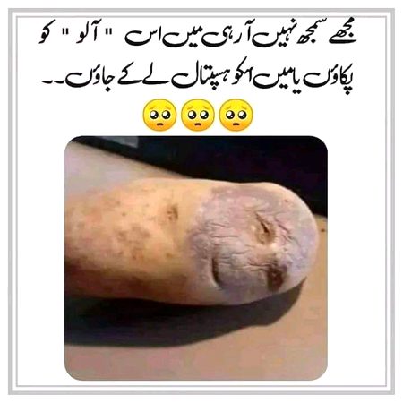 Memes & Satire image