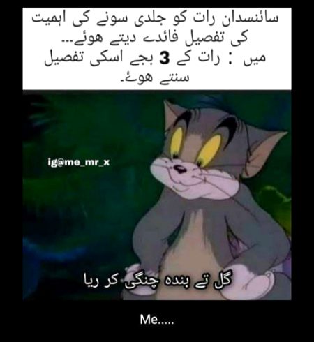 Memes & Satire image