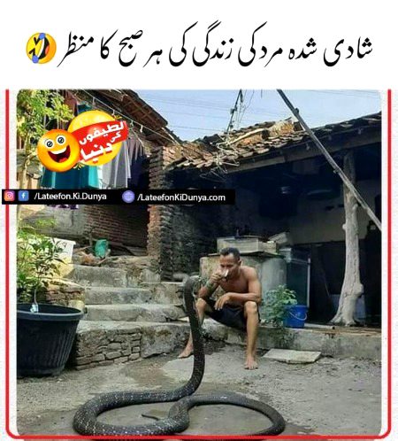 Memes & Satire image