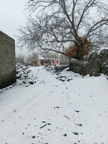 Beautiful Nature image