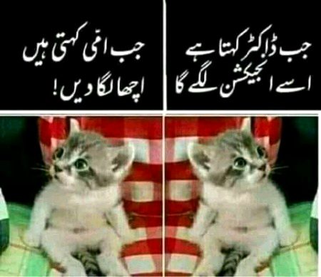 Memes & Satire image