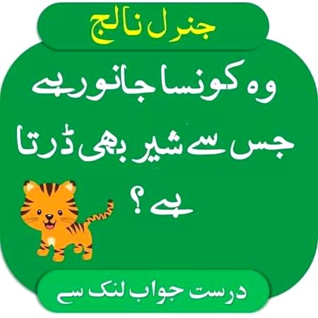 Knowledge Test image