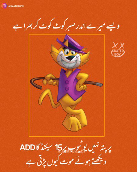 Memes & Satire image