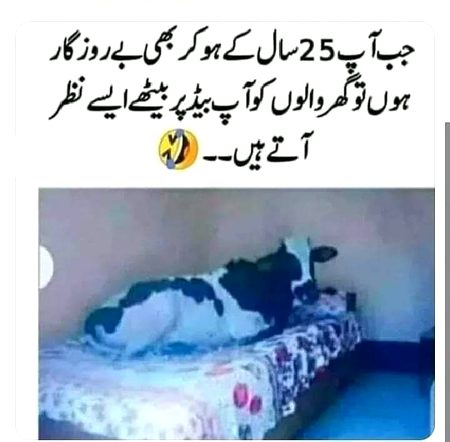 Memes & Satire image