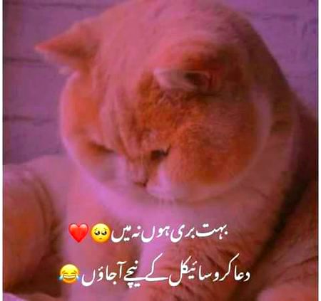 Jokes image