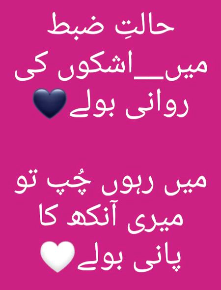 Sad Poetry image
