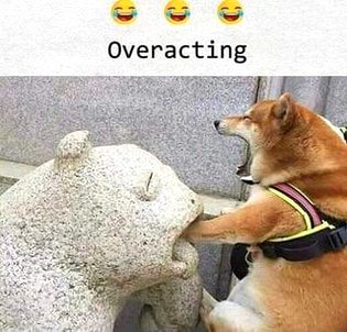 Funny joke