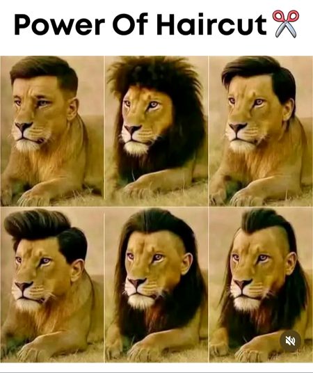 Memes & Satire image