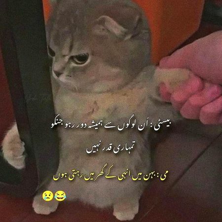 Jokes image