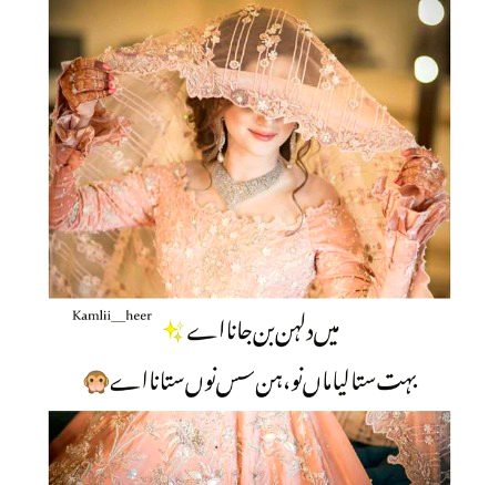 Memes & Satire image