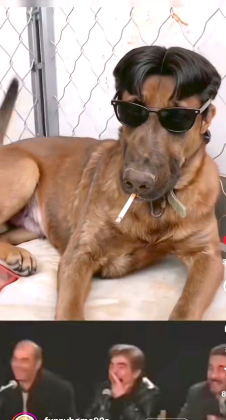 Memes & Satire image