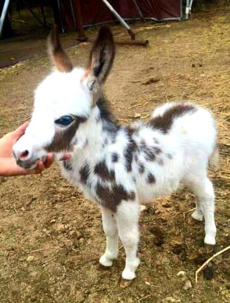 Beautiful Nature image