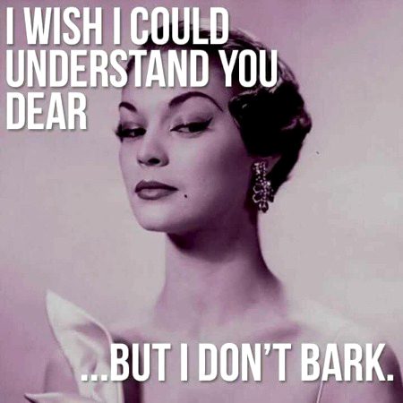 Memes & Satire image