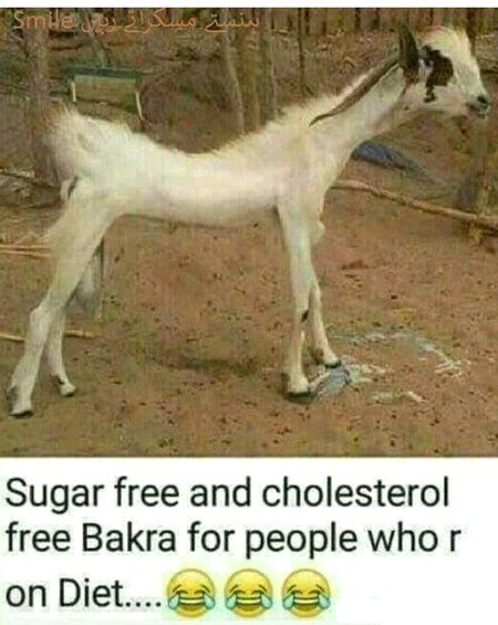 Memes & Satire image