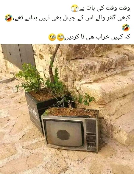 Memes & Satire image