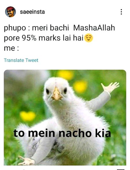 Memes & Satire image