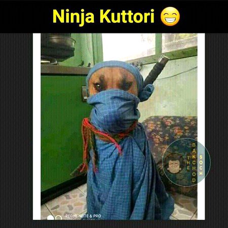 Memes & Satire image