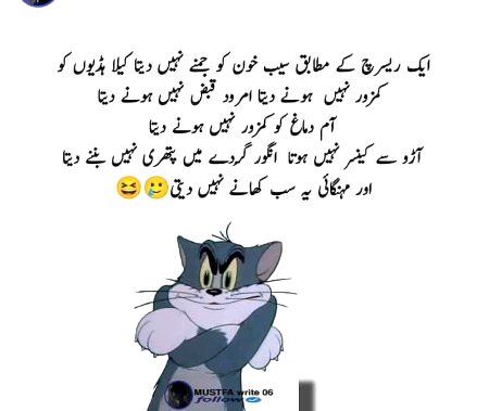 Memes & Satire image
