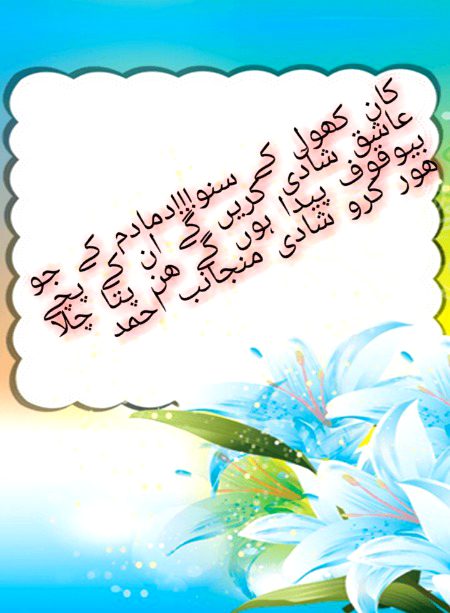 Damadam Roasting image