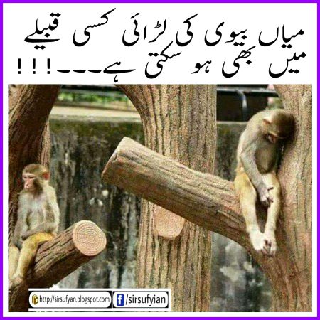 Memes & Satire image