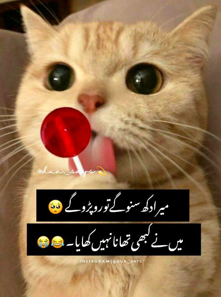 Jokes image