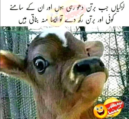 Funny joke
