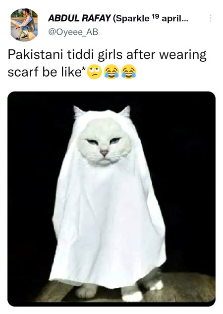 Memes & Satire image