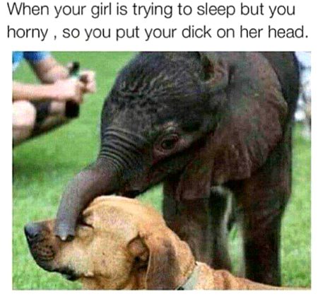 Funny joke
