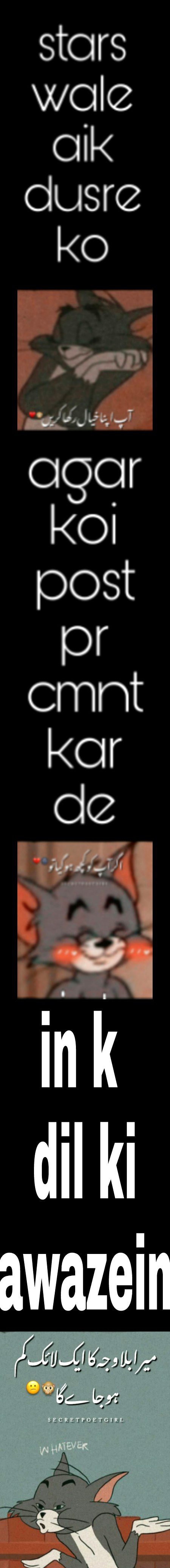 Damadam Roasting image