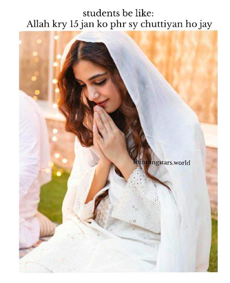 Memes & Satire image